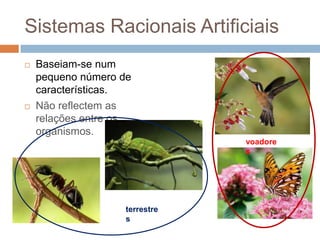 Sistemas Racionais Artificiais
   Baseiam-se num
    pequeno número de
    características.
   Não reflectem as
    relações entre os
    organismos.
                                voadore
                                s




                    terrestre
                    s
 
