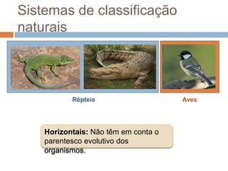 Sistemas de classificação
naturais




           Répteis                    Aves




    Horizontais: Não têm em conta o
    parentesco evolutivo dos
    organismos.
 