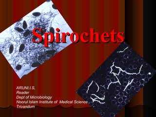 SpirochetsSpirochets
ARUNI.I.S,
Reader
Dept of Microbiology
Noorul Islam Institute of Medical Science
Trivandum
 