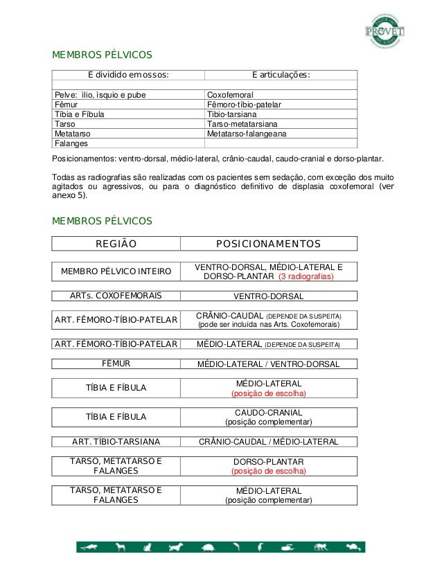 Exames pelvicos