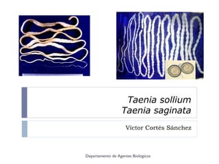 Taenia sollium
                  Taenia saginata
                    Víctor Cortés Sánchez



Departamento de Agentes Biológicos
 