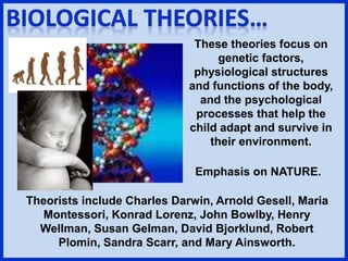 These theories focus on
genetic factors,
physiological structures
and functions of the body,
and the psychological
processes that help the
child adapt and survive in
their environment.
Emphasis on NATURE.
Theorists include Charles Darwin, Arnold Gesell, Maria
Montessori, Konrad Lorenz, John Bowlby, Henry
Wellman, Susan Gelman, David Bjorklund, Robert
Plomin, Sandra Scarr, and Mary Ainsworth.
 