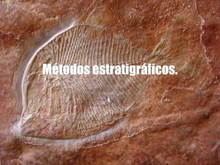 Métodos estratigráficos.
 