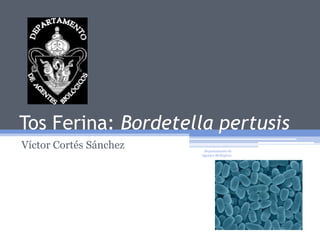 Tos Ferina: Bordetella pertusis
Víctor Cortés Sánchez    Departamento de
                        Agentes Biológicos
 