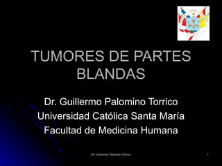 TUMORES DE PARTES BLANDAS Dr. Guillermo Palomino Torrico Universidad Católica Santa María Facultad de Medicina Humana 