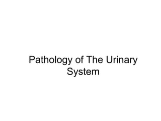 Pathology of The Urinary
System
 