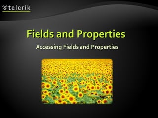 Fields and PropertiesFields and Properties
Accessing Fields and PropertiesAccessing Fields and Properties
 