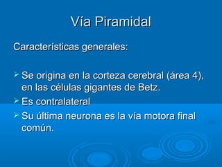 Vía PiramidalVía Piramidal
Características generales:Características generales:
 Se origina en la corteza cerebral (área 4),Se origina en la corteza cerebral (área 4),
en las células gigantes de Betz.en las células gigantes de Betz.
 Es contralateralEs contralateral
 Su última neurona es la vía motora finalSu última neurona es la vía motora final
común.común.
 