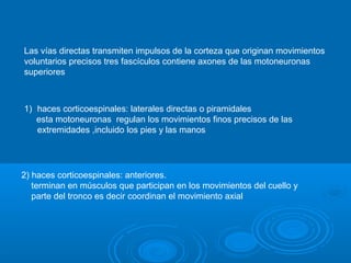 Las vías directas transmiten impulsos de la corteza que originan movimientos
voluntarios precisos tres fascículos contiene axones de las motoneuronas
superiores
1) haces corticoespinales: laterales directas o piramidales
esta motoneuronas regulan los movimientos finos precisos de las
extremidades ,incluido los pies y las manos
2) haces corticoespinales: anteriores.
terminan en músculos que participan en los movimientos del cuello y
parte del tronco es decir coordinan el movimiento axial
 