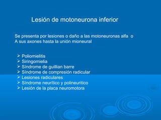 Lesión de motoneurona inferior
Se presenta por lesiones o daño a las motoneuronas alfa o
A sus axones hasta la unión mioneural
 Poliomielitis
 Siringomielia
 Síndrome de guillian barre
 Síndrome de compresión radicular
 Lesiones radiculares
 Síndrome neurítico y polineuritico
 Lesión de la placa neuromotora
 