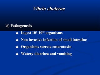 Vibrio choleraeVibrio cholerae
※※ PathogenesisPathogenesis
▲▲ Ingest 10Ingest 1088
-10-101010
organismsorganisms
▲▲ Non invasive infection of small intestineNon invasive infection of small intestine
▲▲ Organisms secrete enterotoxinOrganisms secrete enterotoxin
▲▲ Watery diarrhea and vomitingWatery diarrhea and vomiting
 