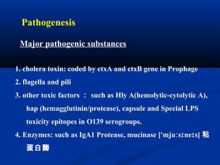 Pathogenesis
1. cholera toxin: coded by ctxA and ctxB gene in Prophage
2. flagella and pili
3. other toxic factors ： such as Hly A(hemolytic-cytolytic A),
hap (hemagglutinin/protease), capsule and Special LPS
toxicity epitopes in O139 serogroups.
4. Enzymes: such as IgA1 Protease, mucinase ['mju s ne s]ː ɪ ɪ 粘
蛋白酶
Major pathogenic substances
 