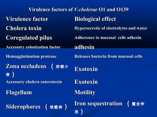 Virulence factors ofVirulence factors of V.choleraeV.cholerae O1 and O139O1 and O139
Virulence factorVirulence factor Biological effectBiological effect
Cholera toxinCholera toxin Hypersecretic of electrolytes and waterHypersecretic of electrolytes and water
Coregulated pilusCoregulated pilus Adherence to mucosal cells adhesinAdherence to mucosal cells adhesin
Accessory colonization factorAccessory colonization factor adhesinadhesin
Hemagglutination proteaseHemagglutination protease Releases bacteria from mucosal cellsReleases bacteria from mucosal cells
Zona occludensZona occludens （（闭锁小
带 ））
ExotoxinExotoxin
Accessory cholera enterotoxinAccessory cholera enterotoxin ExotoxinExotoxin
FlagellumFlagellum MotilityMotility
SiderophoresSiderophores （（铁载体 ）） Iron sequestrationIron sequestration （（螯合作
用 ））
 