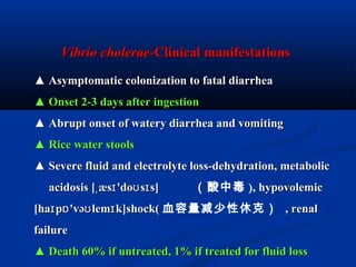 Vibrio choleraeVibrio cholerae--Clinical manifestationsClinical manifestations
▲▲ Asymptomatic colonization to fatal diarrheaAsymptomatic colonization to fatal diarrhea
▲▲ Onset 2-3 days after ingestionOnset 2-3 days after ingestion
▲▲ Abrupt onset of watery diarrhea and vomitingAbrupt onset of watery diarrhea and vomiting
▲▲ Rice water stoolsRice water stools
▲▲ Severe fluid and electrolyte loss-dehydration, metabolicSevere fluid and electrolyte loss-dehydration, metabolic
acidosis [ æs 'do s s]ˌ ɪ ʊ ɪacidosis [ æs 'do s s]ˌ ɪ ʊ ɪ （（酸中毒 ), hypovolemic, hypovolemic
[ha p 'və lem k]shock(ɪ ɒ ʊ ɪ[ha p 'və lem k]shock(ɪ ɒ ʊ ɪ 血容量减少性休克） , renal, renal
failurefailure
▲▲ Death 60% if untreated, 1% if treated for fluid lossDeath 60% if untreated, 1% if treated for fluid loss
 