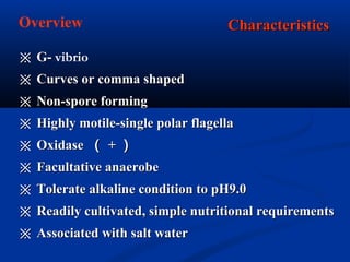 ※※ G-G- vibrio
※※ CCurves or comma shapedurves or comma shaped
※※ Non-spore formingNon-spore forming
※※ Highly motile-single polar flagellaHighly motile-single polar flagella
※※ OxidaseOxidase （（ ++ ））
※※ Facultative anaerobeFacultative anaerobe
※※ Tolerate alkaline condition to pH9.0Tolerate alkaline condition to pH9.0
※※ RReadily cultivatedeadily cultivated,, simple nutritional requirementssimple nutritional requirements
※※ Associated with salt waterAssociated with salt water
CharacteristicsCharacteristicsOverview
 