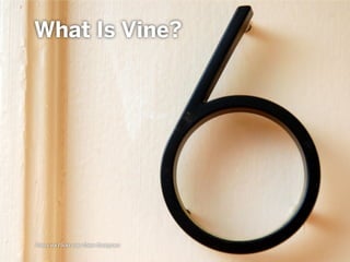 Photo via Flickr user Steve Snodgrass
What Is Vine?
 