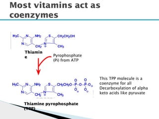 Most vitamins act as
coenzymes
Thiamin
e Pyrophosphate
(Pi) from ATP
Thiamine pyrophosphate
(TPP)
This TPP molecule is a
coenzyme for all
Decarboxylation of alpha
keto acids like pyruvate
 