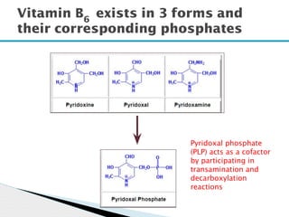 Vitamin B6
exists in 3 forms and
their corresponding phosphates
Pyridoxal phosphate
(PLP) acts as a cofactor
by participating in
transamination and
decarboxylation
reactions
 