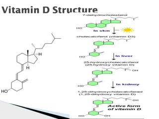 Vitamin D Structure
 