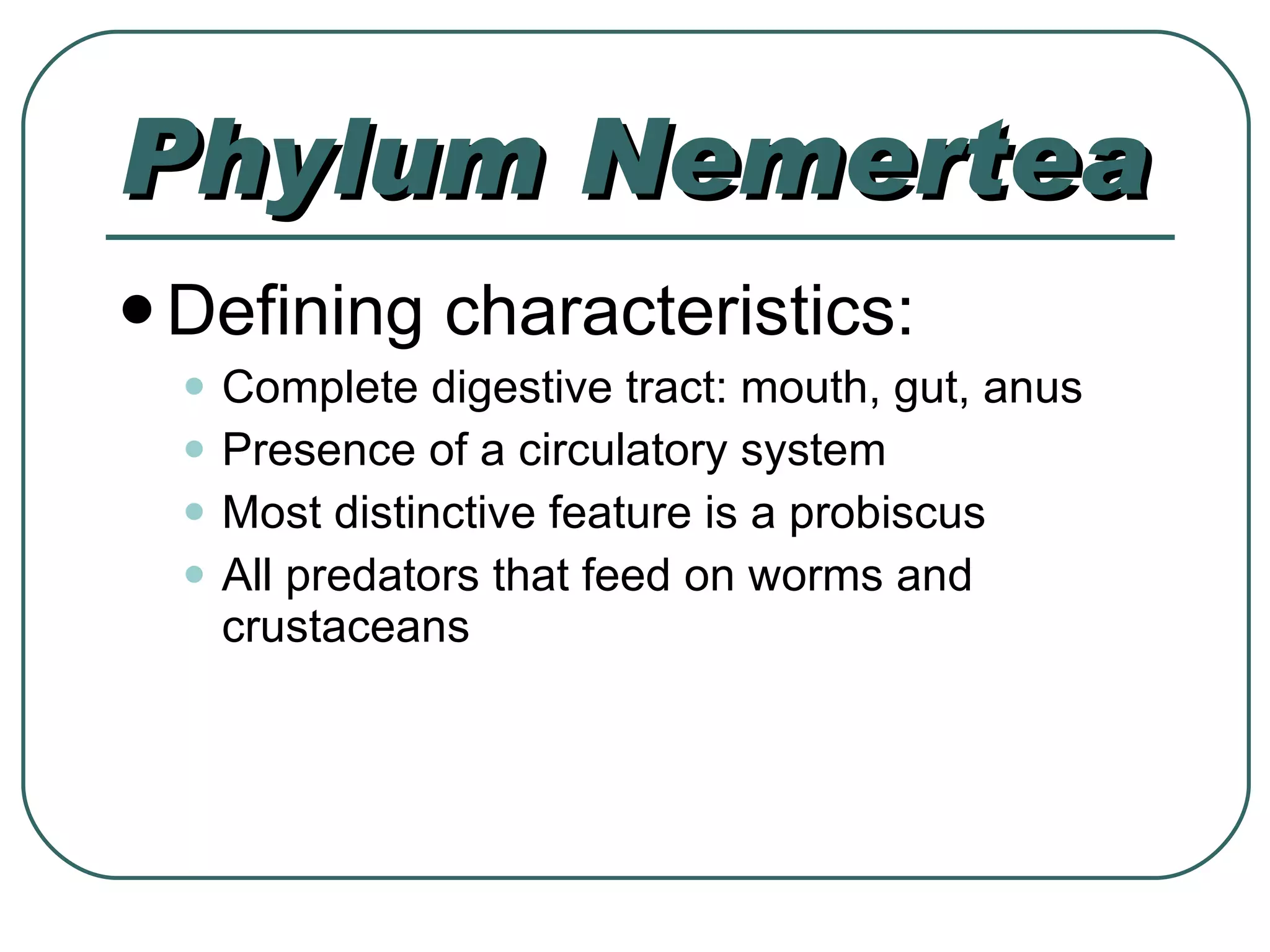 Phylum Nemertea Defining characteristics: Complete digestive tract: mouth, gut, anus Presence of a circulatory system Most distinctive feature is a probiscus All predators that feed on worms and crustaceans 