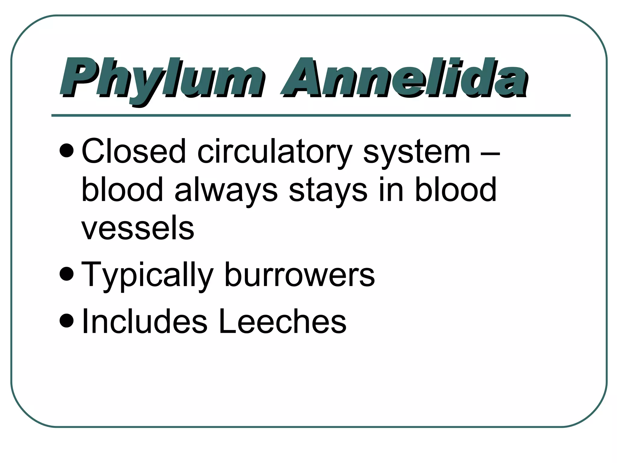 Phylum Annelida Closed circulatory system – blood always stays in blood vessels Typically burrowers Includes Leeches 