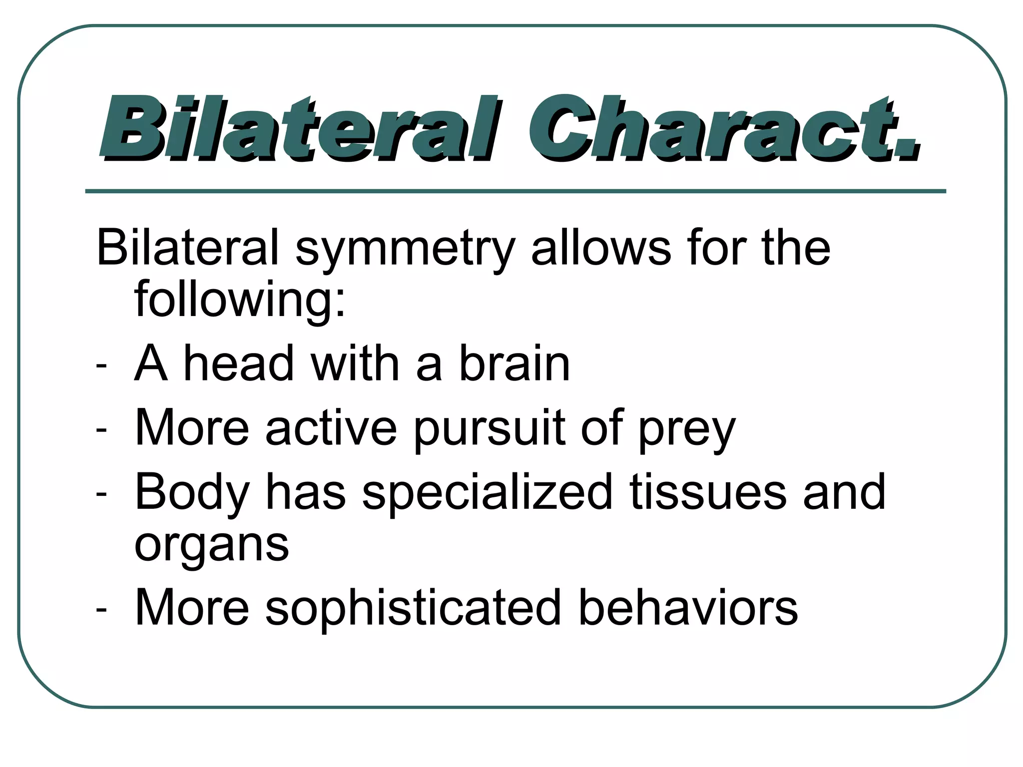 Bilateral Charact. Bilateral symmetry allows for the following: A head with a brain More active pursuit of prey Body has specialized tissues and organs More sophisticated behaviors 