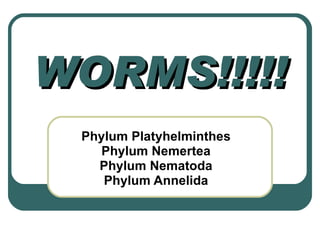 WORMS!!!!! Phylum Platyhelminthes Phylum Nemertea Phylum Nematoda Phylum Annelida 