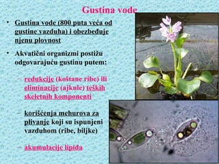 Gustina vode
• Gustina vode (800 puta veća od
  gustine vazduha) i obezbeđuje
  njenu plovnost
• Akvatični organizmi postižu
  odgovarajuću gustinu putem:

   – redukcije (koštane ribe) ili
     eliminacije (ajkule) teških
     skeletnih komponenti

   – korišćenja mehurova za
     plivanje koji su ispunjeni
     vazduhom (ribe, biljke)

   – akumulacije lipida
 