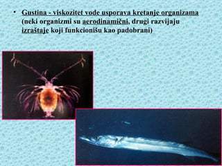 • Gustina - viskozitet vode usporava kretanje organizama
  (neki organizmi su aerodinamični, drugi razvijaju
  izraštaje koji funkcionišu kao padobrani)
 