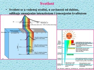 Svetlost
• Svetlost se u vodenoj sredini, u zavisnosti od dubine,
  odlikuje smanjenim intenzitetom i izmenjenim kvalitetom
 