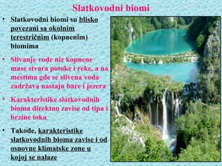 Slatkovodni biomi
• Slatkovodni biomi su blisko
  povezani sa okolnim
  terestričnim (kopnenim)
  biomima
• Slivanje vode niz kopnene
  mase stvara potoke i reke, a na
  mestima gde se slivena voda
  zadržava nastaju bare i jezera
• Karakteristike slatkovodnih
  bioma direktno zavise od tipa i
  brzine toka
• Takođe, karakteristike
  slatkovodnih bioma zavise i od
  osnovne klimatske zone u
  kojoj se nalaze
 
