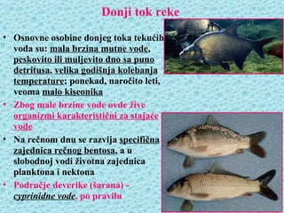 Donji tok reke
• Osnovne osobine donjeg toka tekućih
  voda su: mala brzina mutne vode,
  peskovito ili muljevito dno sa puno
  detritusa, velika godišnja kolebanja
  temperature; ponekad, naročito leti,
  veoma malo kiseonika
• Zbog male brzine vode ovde žive
  organizmi karakteristični za stajaće
  vode
• Na rečnom dnu se razvija specifična
  zajednica rečnog bentosa, a u
  slobodnoj vodi životna zajednica
  planktona i nektona
• Područje deverike (šarana) -
  cyprinidne vode, po pravilu
 