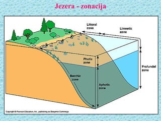 Jezera - zonacija
 