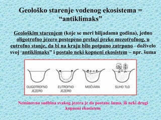 Geološko starenje vodenog ekosistema =
               “antiklimaks”
  Geološkim starenjem (koje se meri hiljadama godina), jedno
   oligotrofno jezero postepeno prelazi preko mezotrofnog, u
eutrofno stanje, da bi na kraju bilo potpuno zatrpano – doživelo
svoj “antiklimaks” i postalo neki kopneni ekosistem – npr. šuma




   Neminovna sudbina svakog jezera je da postane šuma, ili neki drugi
                         kopneni ekosistem
 