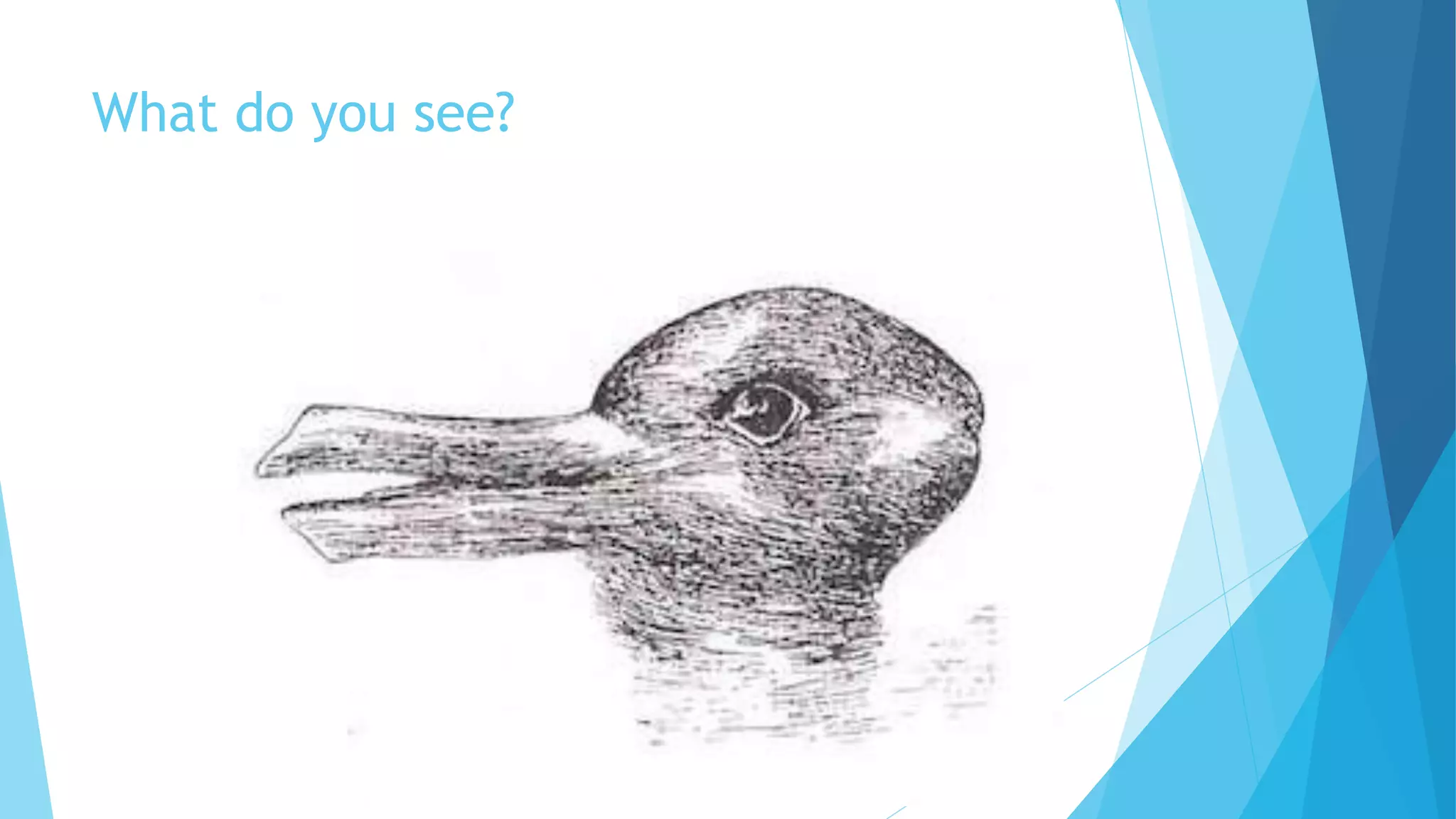 What do you see?
 