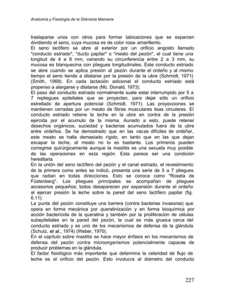 Anatomía y Fisiología de la Glándula Mamaria
227
traslaparse unos con otros para formar tabicaciones que se esparcen
dividiendo el seno, cuya mucosa es de color rosa- amarillento.
El seno lactífero se abre al exterior por un orificio angosto llamado
"conducto estriado", "ducto papilar" o "meato del pezón", el cual tiene una
longitud de 4 a 8 mm, variando su circunferencia entre 2 a 3 mm, su
mucosa es blanquecina con pliegues longitudinales. Este conducto estriado
se abre cuando se aplica presión al pezón durante el ordeño y al mismo
tiempo el seno tiende a dilatarse por la presión de la ubre (Schmidt, 1971)
(Smith, 1968). En cada lactación adicional el conducto estriado está
propenso a alargarse y dilatarse (Mc. Donald, 1973).
El paso del conducto estriado normalmente suele estar interrumpido por 5 a
7 repliegues epiteliales que se proyectan, para dejar sólo un orificio
estrellado de apertura potencial (Schmidt, 1971). Las proyecciones se
mantienen cerradas por un meato de fibras musculares lisas circulares. El
conducto estriado retiene la leche en la ubre en contra de la presión
ejercida por el acumulo de la misma. Aunado a esto, puede retener
desechos orgánicos, suciedad y bacterias acumulados fuera de la ubre
entre ordeños. Se ha demostrado que en las vacas difíciles de ordeñar,
este meato se halla demasiado rígido, en tanto que en las que dejan
escapar la leche, el meato no lo es bastante. Los primeros pueden
corregirse quirúrgicamente aunque la mastitis es una secuela muy posible
de las operaciones en esta región. Esta parece ser una condición
hereditaria.
En la unión del seno lactífero del pezón y el canal estriado, el revestimiento
de la primera como antes se indicó, presenta una serie de 5 a 7 pliegues
que radian en todas direcciones. Esto se conoce como "Roseta de
Füstenberg". Los pliegues principales se acompañan de pliegues
accesorios pequeños; todos desaparecen por expansión durante el ordeño
al ejercer presión la leche sobre la pared del seno lactífero papilar (fig.
6.11).
La punta del pezón constituye una barrera (contra bacterias invasoras) que
opera en forma mecánica por queratinización y en forma bioquímica por
acción bactericida de la queratina y también por la proliferación de células
subepiteliales en la pared del pezón, la cual es más gruesa cerca del
conducto estriado y es uno de los mecanismos de defensa de la glándula
(Schulz, e
et
t a
al
l.
.,
, 1974) (Weber, 1970).
En el capítulo sobre mastitis se hace mayor énfasis en los mecanismos de
defensa del pezón contra microorganismos potencialmente capaces de
producir problemas en la glándula.
El factor fisiológico más importante que determina la celeridad de flujo de
leche es el orificio del pezón. Esto involucra al diámetro del conducto
 