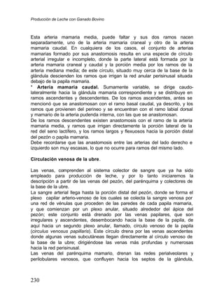 Producción de Leche con Ganado Bovino
230
Esta arteria mamaria media, puede faltar y sus dos ramos nacen
separadamente, uno de la arteria mamaria craneal y otro de la arteria
mamaria caudal. En cualquiera de los casos, el conjunto de arterias
mamarias formado por sus anastomosis resulta en una especie de círculo
arterial irregular e incompleto, donde la parte lateral está formada por la
arteria mamaria craneal y caudal y la porción media por los ramos de la
arteria mediana media; de este círculo, situado muy cerca de la base de la
glándula descienden los ramos que irrigan la red anular perisinusal situada
debajo de la papila mamaria.
* Arteria mamaria caudal. Sumamente variable, se dirige caudo-
lateralmente hacia la glándula mamaria correspondiente y se distribuye en
ramos ascendentes y descendentes. De los ramos ascendentes, antes se
mencionó que se anastomosan con el ramo basal caudal, ya descrito, y los
ramos que provienen del perineo y se encuentran con el ramo labial dorsal
y mamario de la arteria pudenda interna, con las que se anastomosan.
De los ramos descendentes existen anastomosis con el ramo de la arteria
mamaria media, y ramos que irrigan directamente la porción lateral de la
red del seno lactífero, y los ramos largos y flexuosos hacia la porción distal
del pezón o papila mamaria.
Debe recordarse que las anastomosis entre las arterias del lado derecho e
izquierdo son muy escasas, lo que no ocurre para ramos del mismo lado.
Circulación venosa de la ubre.
Las venas, comprenden al sistema colector de sangre que ya ha sido
empleado para producción de leche, y por lo tanto iniciaremos la
descripción a partir de las venas del pezón, del parénquima y colectores de
la base de la ubre.
La sangre arterial llega hasta la porción distal del pezón, donde se forma el
plexo capilar arterio-venoso de los cuales se colecta la sangre venosa por
una red de vénulas que proceden de las paredes de cada papila mamaria,
y que comienzan por un plexo anular, situado alrededor del ápice del
pezón; este conjunto está drenado por las venas papilares, que son
irregulares y ascendentes, desembocando hacia la base de la papila, de
aquí hacia un segundo plexo anular, llamado, círculo venoso de la papila
(circulus venosus papillaris). Este círculo drena por las venas ascendentes
donde algunas venas subcutáneas llegan directamente al círculo venoso de
la base de la ubre; dirigiéndose las venas más profundas y numerosas
hacia la red perisinusal.
Las venas del parénquima mamario, drenan las redes perialveolares y
perilobulares venosos, que confluyen hacia los septos de la glándula,
 