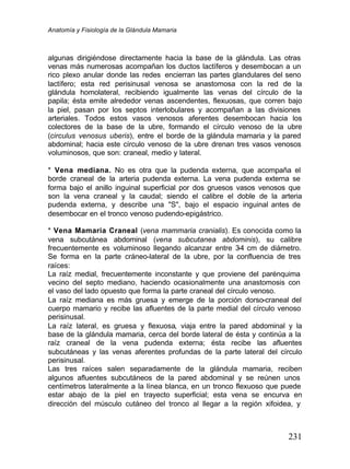 Anatomía y Fisiología de la Glándula Mamaria
231
algunas dirigiéndose directamente hacia la base de la glándula. Las otras
venas más numerosas acompañan los ductos lactíferos y desembocan a un
rico plexo anular donde las redes encierran las partes glandulares del seno
lactífero; esta red perisinusal venosa se anastomosa con la red de la
glándula homolateral, recibiendo igualmente las venas del círculo de la
papila; ésta emite alrededor venas ascendentes, flexuosas, que corren bajo
la piel, pasan por los septos interlobulares y acompañan a las divisiones
arteriales. Todos estos vasos venosos aferentes desembocan hacia los
colectores de la base de la ubre, formando el círculo venoso de la ubre
(circulus venosus uberis), entre el borde de la glándula mamaria y la pared
abdominal; hacia este círculo venoso de la ubre drenan tres vasos venosos
voluminosos, que son: craneal, medio y lateral.
* Vena mediana. No es otra que la pudenda externa, que acompaña el
borde craneal de la arteria pudenda externa. La vena pudenda externa se
forma bajo el anillo inguinal superficial por dos gruesos vasos venosos que
son la vena craneal y la caudal; siendo el calibre el doble de la arteria
pudenda externa, y describe una "S", bajo el espacio inguinal antes de
desembocar en el tronco venoso pudendo-epigástrico.
* Vena Mamaria Craneal (vena mammaria cranialis). Es conocida como la
vena subcutánea abdominal (vena subcutanea abdominis), su calibre
frecuentemente es voluminoso llegando alcanzar entre 3
-4 cm de diámetro.
Se forma en la parte cráneo-lateral de la ubre, por la confluencia de tres
raíces:
La raíz medial, frecuentemente inconstante y que proviene del parénquima
vecino del septo mediano, haciendo ocasionalmente una anastomosis con
el vaso del lado opuesto que forma la parte craneal del círculo venoso.
La raíz mediana es más gruesa y emerge de la porción dorso-craneal del
cuerpo mamario y recibe las afluentes de la parte medial del círculo venoso
perisinusal.
La raíz lateral, es gruesa y flexuosa, viaja entre la pared abdominal y la
base de la glándula mamaria, cerca del borde lateral de ésta y continúa a la
raíz craneal de la vena pudenda externa; ésta recibe las afluentes
subcutáneas y las venas aferentes profundas de la parte lateral del círculo
perisinusal.
Las tres raíces salen separadamente de la glándula mamaria, reciben
algunos afluentes subcutáneos de la pared abdominal y se reúnen unos
centímetros lateralmente a la línea blanca, en un tronco flexuoso que puede
estar abajo de la piel en trayecto superficial; esta vena se encurva en
dirección del músculo cutáneo del tronco al llegar a la región xifoidea, y
 
