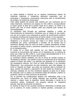 Anatomía y Fisiología de la Glándula Mamaria
225
La célula epitelial o lactocito es un sistema membranoso abierto de
moléculas orgánicas e inorgánicas altamente organizado, que sé
autorregula y autoduplica, promoviendo reacciones para la transformación
de energía y la síntesis de compuestos.
Toda célula epitelial del alveolo está cubierta por una membrana que la
rodea totalmente, membrana con espesor de 100 a 600 Å, correspondiendo
el mayor grosor al área de la porción basal de la célula y la menor a la
porción que mira al lumen alveolar, parte que presenta gran número de
microvellosidades.
La membrana está formada por partículas repetidas y unidas de
macromoléculas de lipoproteína, membrana que se integra en dos partes,
una que es la basal y que comprende la porción de recubrimiento continuo;
la segunda constituye las proyecciones al interior celular y a los organelos.
La membrana forma una barrera impermeable entre la porción acuosa del
citoplasma y la solución acuosa que rodea a la célula, barrera que es
modificada por: poros, acarreadores y bombas, de tal manera que la
membrana distinga entre los iones de sodio y potasio permitiendo el paso
del potasio al interior celular y oponiendo resistencia al sodio, lo que resulta
en un transporte activo.
El núcleo de la célula está rodeado por una doble membrana, que
consiente la comunicación del núcleo con el citoplasma por un sistema de
poros que miden de 400 a 800 Å, y que ocupan aproximadamente el 10 %
del área, poros que permiten el paso de proteínas.
La membrana exterior establece una red en forma de canales creando el
"Endoplasma reticular", que admite el paso de substancias de la membrana
exterior al interior del núcleo. Los gránulos que aparecen en la membrana
del endoplasma reticular, son ricos en ácido r
ibonucléico y son llamados
"Ribosomas". Una continuación de esta membrana, pero más delgada, da
forma al "Aparato de Golgi", que entre sus funciones está la remoción de
agua, síntesis de proteína y exportación de ésta desde los ribosomas, por
vesículas rodeadas de una fina membrana llegando al ápice de la célula,
las vesículas unen su pared a la membrana basal del lactocito y liberan su
contenido, siendo un modo merócrino de secreción.
Por el contrario los constituyentes lipídicos son elaborados junto a las
mitocondrias con forma de gotitas adiposas que aumentan rápido de
volumen y migran hacia la superficie, siendo eliminadas a través de la
membrana celular, arrastrando una pequeña película de citoplasma
granular, este tipo de secreción es apócrino.
La lactosa se haya en las vacuolas secretoras, liberándose al alvéolo junto
con la proteína. El núcleo contiene el material genético, compuesto por
 
