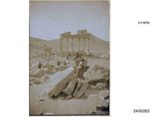 ‫פלמירה‬




‫26200/42‬
 