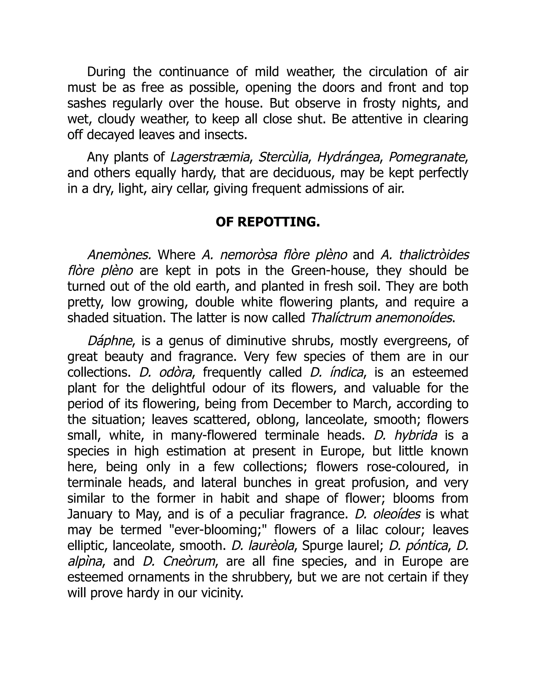 During the continuance of mild weather, the circulation of air
must be as free as possible, opening the doors and front and top
sashes regularly over the house. But observe in frosty nights, and
wet, cloudy weather, to keep all close shut. Be attentive in clearing
off decayed leaves and insects.
Any plants of Lagerstræmia, Stercùlia, Hydrángea, Pomegranate,
and others equally hardy, that are deciduous, may be kept perfectly
in a dry, light, airy cellar, giving frequent admissions of air.
OF REPOTTING.
Anemònes. Where A. nemoròsa flòre plèno and A. thalictròides
flòre plèno are kept in pots in the Green-house, they should be
turned out of the old earth, and planted in fresh soil. They are both
pretty, low growing, double white flowering plants, and require a
shaded situation. The latter is now called Thalíctrum anemonoídes.
Dáphne, is a genus of diminutive shrubs, mostly evergreens, of
great beauty and fragrance. Very few species of them are in our
collections. D. odòra, frequently called D. índica, is an esteemed
plant for the delightful odour of its flowers, and valuable for the
period of its flowering, being from December to March, according to
the situation; leaves scattered, oblong, lanceolate, smooth; flowers
small, white, in many-flowered terminale heads. D. hybrida is a
species in high estimation at present in Europe, but little known
here, being only in a few collections; flowers rose-coloured, in
terminale heads, and lateral bunches in great profusion, and very
similar to the former in habit and shape of flower; blooms from
January to May, and is of a peculiar fragrance. D. oleoídes is what
may be termed "ever-blooming;" flowers of a lilac colour; leaves
elliptic, lanceolate, smooth. D. laurèola, Spurge laurel; D. póntica, D.
alpìna, and D. Cneòrum, are all fine species, and in Europe are
esteemed ornaments in the shrubbery, but we are not certain if they
will prove hardy in our vicinity.
 
