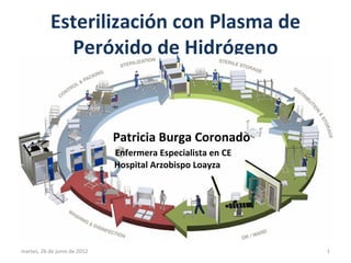 Esterilización con Plasma de
             Peróxido de Hidrógeno



                              Patricia Burga Coronado
 ...