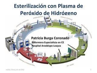 Esterilización con Plasma de
             Peróxido de Hidrógeno



                              Patricia Burga Coronado
                              Enfermera Especialista en CE
                              Hospital Arzobispo Loayza




martes, 26 de junio de 2012                                  1
 