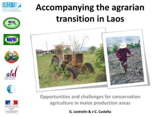 Accompanying the agrarian
    transition in Laos




Opportunities and challenges for conservation
   agriculture in maize production areas
             G. Lestrelin & J-C. Castella
 