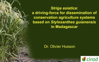Striga asiatica:
a driving-force for dissemination of
 conservation agriculture systems
based on Stylosanthes guianensis
           in Madagascar




      Dr. Olivier Husson
 