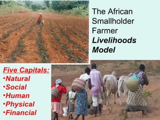The African Smallholder Farmer  Livelihoods Model <ul><li>Five Capitals: </li></ul><ul><li>Natural </li></ul><ul><li>Socia...