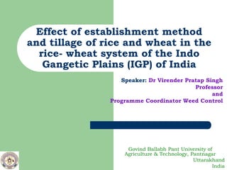Effect of establishment method
and tillage of rice and wheat in the
  rice- wheat system of the Indo
   Gangetic Plains (IGP) of India
                   Speaker: Dr Virender Pratap Singh
                                           Professor
                                                 and
                Programme Coordinator Weed Control




                     Govind Ballabh Pant University of
                    Agriculture & Technology, Pantnagar
                                               Uttarakhand
                                                       India
 
