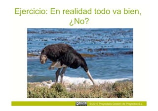 Ejercicio: En realidad todo va bien,
                ¿No?




                     © 2010 Proyectalis Gestión de Proyectos S.L.
 