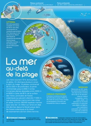 Les mers couvrent 70 % de la surface
du globe. On distingue plusieurs zones
à partir du rivage : le plateau continental
de 0 à 200 m de profondeur, la pente
continentale jusqu’à 2000 m et les
immenses plaines abyssales entre 2000 m
et 6000 m (près de 80 % de la surface
des mers), ponctuées de fosses
océaniques qui peuvent atteindre 11 000 m.
Les écosystèmes marins sont très riches
et variés. Environ 280 000 espèces marines
(pour plus de 1,5 million sur terre) ont déjà
été décrites depuis le littoral jusque dans
les fosses océaniques et le travail
de recensement est loin d’être terminé.
NODULES
Découverts au XIXe
siècle,
les nodules polymétalliques
sont des boules noirâtres
de 5 à 20 cm de diamètre,
riches en métaux
(manganèse, cuivre,
nickel, cobalt…) et
abondant sur les fonds
océaniques, en particulier
entre 4000 m et 6000 m.
Leur exploitation
potentielle reste coûteuse
et soulève des problèmes
environnementaux.
LITTORAL
50 % de la population
mondiale vit à moins
de 100 km des côtes,
une proportion en
constante augmentation.
Pour beaucoup, la mer
se résume au littoral
dans lequel se
concentrent les activités
(économiques,
culturelles, de loisir…).
Ce n’est pourtant
qu’une infime partie
des mers.
Plateau continental
(de 0 à 200 mètres de profondeur)
Pente continentale
(de 200 à 2000 mètres de profondeur)
CORAUX PROFONDS
À plusieurs centaines de mètres
de profondeurs (jusqu’à 2500 m),
des récifs de coraux d’eaux froides
se développent et forment des
écosystèmes riches en espèces.
Réalisation:Illustration:AntoineDaganConception:DICOM/INF/11012-Juin2011
 RECHERCHE L’exploration océanique à l’aide de submersibles a
commencé dans les années 1950 mais il faut attendre les années 1980-1990
pour la mise au point de sous-marins et robots mobiles et performants
pour étudier les fonds sous-marins jusqu’à 6000 m de profondeur.
 ÉTONNANT POISSON Le curieux poisson lune
vit jusqu’à 600 m de profondeur. Il peut atteindre 3 m de long
pour 2 tonnes.
 