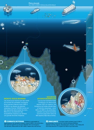 15
-1 000 m
-2 000 m
-3 000 m
-4 000 m
-5 000 m
-6 000 m
-200 m
MONTS SOUS-MARINS
Les monts sous-marins sont des reliefs
qui forment de véritables montagnes
sous-marines s’élevant entre 1000 m
et 4000 m au-dessus du plancher
océanique. Environ 100 000 monts ont
été répertoriés dans toutes les mers.
Méconnus, ils présentent des
écosystèmes originaux qui abritent
une grande diversité d’espèces.
SOURCES
HYDROTHERMALES
Les sources hydrothermales
constituent une découverte
récente (1977) et majeure. Ces
émissions de fluides chauds liées
à l’activité volcanique – entre
500 m et 4000 m de profondeur
– abritent une faune luxuriante
inconnue jusqu’alors (plus de
600 espèces déjà découvertes).
Plaine abyssale
(de 2000 à 6000 mètres de profondeur)
 OBSCURITÉ La lumière solaire pénètre jusqu’à 200 m
de profondeur ce qui permet l’activité photosynthétique
(plantes marines, algues, phytoplancton). Ensuite, c’est l’obscurité
et le froid (environ 2 °c à partir de 1000 m) qui dominent.
 COMBATS DETITANS Prédateurs redoutables et
gigantesques, les cachalots chassent, jusqu’à 3000 m de profondeur,
des calamars géants qui peuvent dépasser 20 m de longueur.
Ces derniers, découverts au XIXe
siècle, restent très mal connus.
 